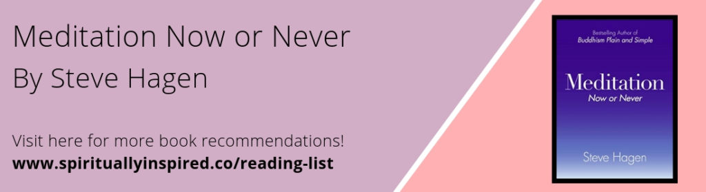 Meditation Now or Never by Steve Hagan [ADVERT]