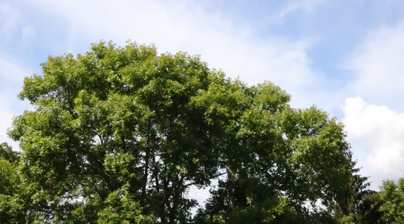A simple abundance meditation to help you welcome in blessings from the Universe. Learn what abundance means, and how anyone can live an abundant life.
