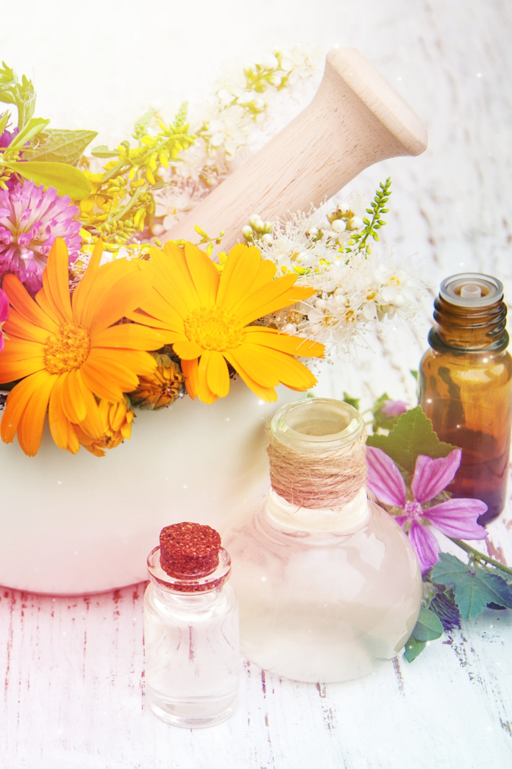 Ayurveda is the study of all of life, literally.