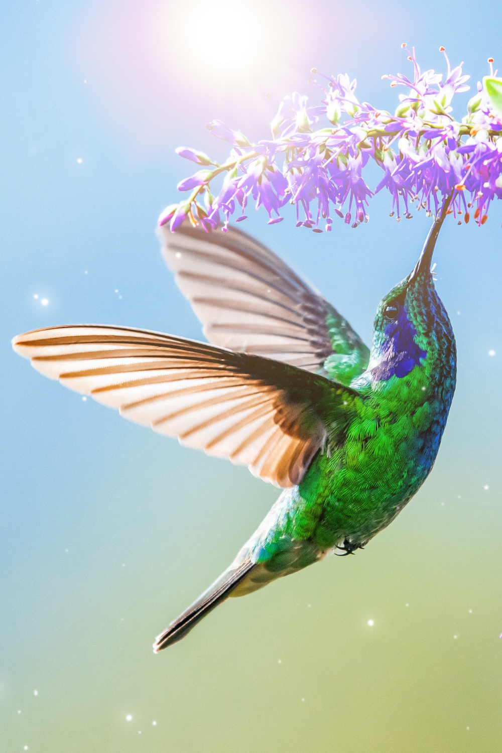 Practicing gratitude doesn’t have to be fancy or formal. Practicing gratitude is as easy as seeing the world (and by extension, your life) in a positive light. 