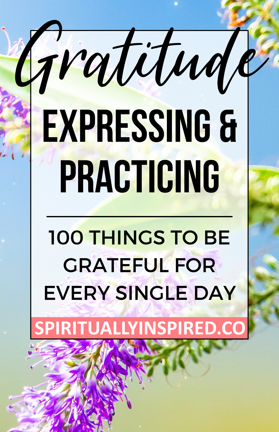 Practicing gratitude doesn’t have to be fancy or formal. Practicing gratitude is as easy as seeing the world (and by extension, your life) in a positive light. 