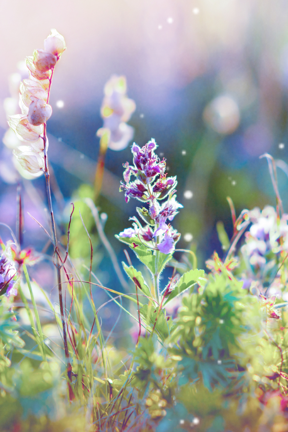 What is a Spiritual Awakening?