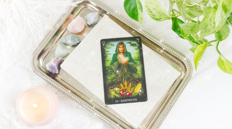 The Empress tarot card represents the mother archetype, from conception, to gestation to giving birth. She can bring new life into the world in many forms.