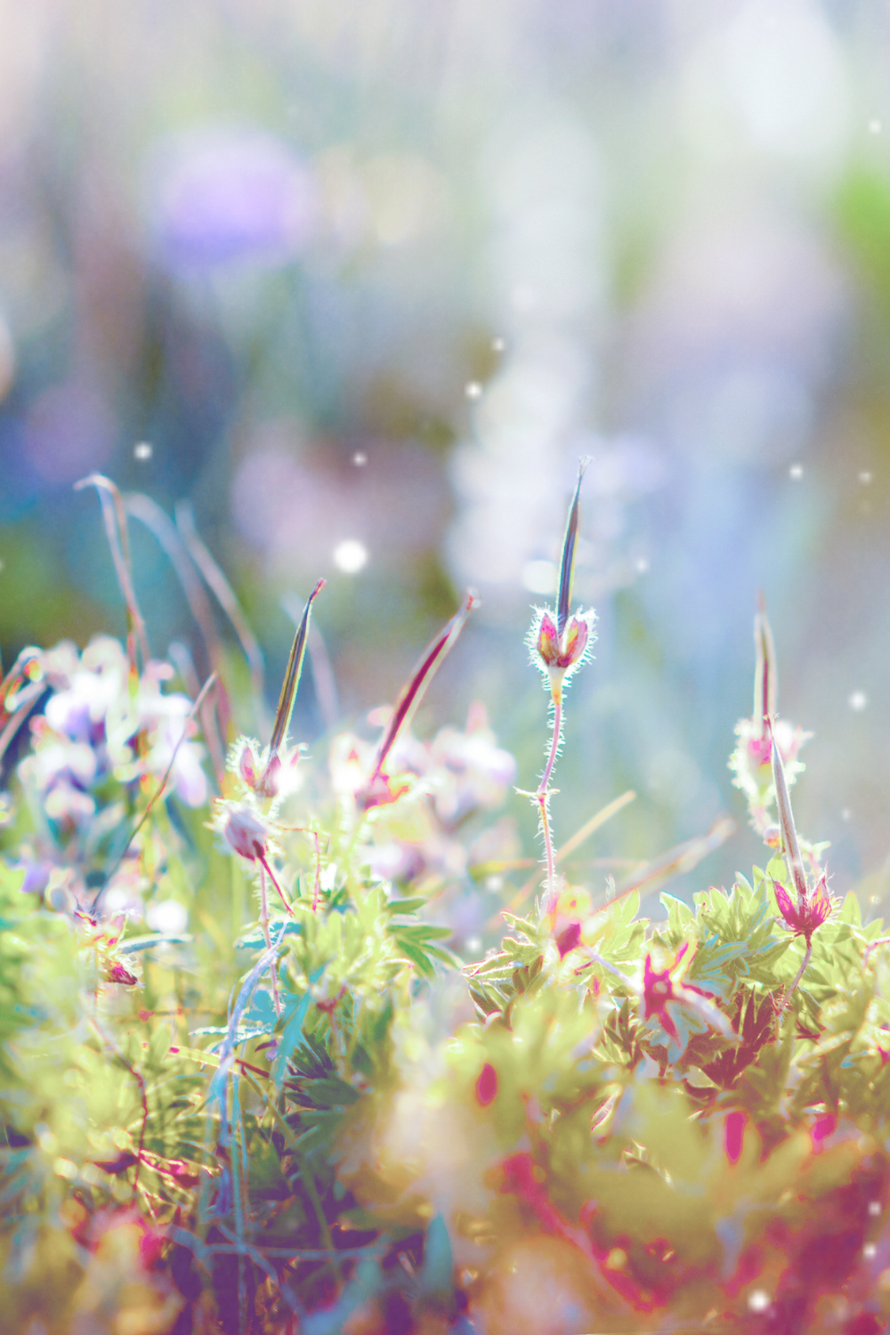 In some capacity, your spiritual awakening is going to reveal what has been hidden and suppressed. And once those doors blow open, there’s no going back to the way things were.