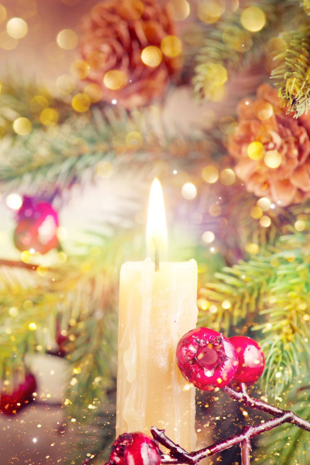 At its core, Yule is a day in which to proudly stand within the darkness, knowing in our souls that the light will be triumphant. 